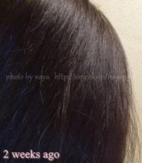 口コミ：【Hair】究極のシャンプーで髪質再生補完計画 #BEAUTYPRIDE　#BMの画像（8枚目）