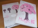 口コミ記事「小さな春が舞い降りる・マジック桜」の画像