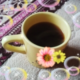 口コミ：モニプラ＊オアシス珈琲 きれいなコーヒーの画像（5枚目）