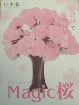 口コミ記事「当選‼︎マジック桜」の画像