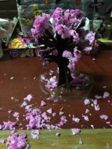 口コミ：不思議な桜の画像（1枚目）