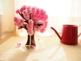 口コミ：12時間でサクラが咲く♪Magic桜の画像（2枚目）