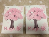口コミ：12時間で咲く不思議な桜 Magic桜の画像（1枚目）