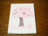 口コミ記事「12時間でサクラが咲く♪Magic桜」の画像