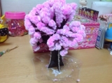 口コミ：モニター 12時間で育つ不思議な桜！ マジック桜の画像（1枚目）