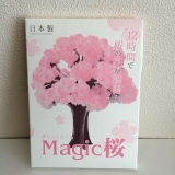 口コミ記事「サクラ咲く！OTOGINOマジック桜」の画像