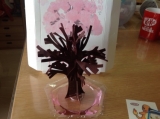 口コミ記事「モニター12時間で育つ不思議な桜！マジック桜」の画像