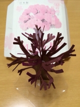 口コミ：入学祝いのプレゼントに Magic桜♡満開中♡の画像（7枚目）