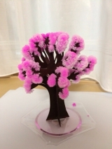 口コミ：入学祝いのプレゼントに Magic桜♡満開中♡の画像（4枚目）