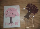 口コミ記事「桜さくー～マジック桜の成長日記～」の画像