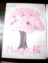 口コミ記事「12時間で育つマジック桜」の画像