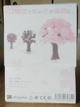口コミ記事「12時間で育つ不思議な桜！マジック桜観察日記1」の画像