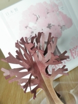 口コミ：12時間で育つ不思議な桜！マジック桜観察日記 1の画像（2枚目）