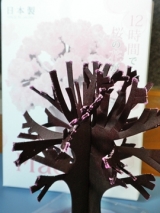 口コミ記事「12時間で育つ不思議な桜！マジック桜観察日記２」の画像