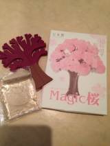 口コミ記事「12時間で咲くマジック桜」の画像