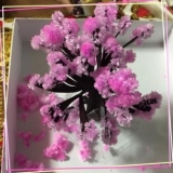 口コミ：株式会社OTOGINO｢マジック桜｣の画像（2枚目）