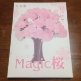 口コミ記事「一足早く春が来た！〜マジック桜〜」の画像