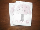 口コミ：マジック桜　咲きました。の画像（4枚目）