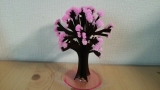 口コミ：12時間で育っ不思議な桜！『Magic桜』の画像（3枚目）