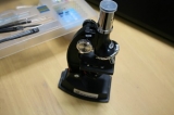 口コミ記事「お手軽な顕微鏡に親子で夢中！！」の画像
