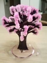 口コミ：【モニター】ふわふわもこもこの桜満開『Majic桜』 | 毎日がＨａｐｐｙ！ - 楽天ブログの画像（3枚目）