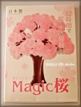 口コミ記事「Magic桜満開(^^♪」の画像