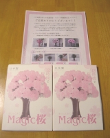 口コミ記事「12時間で育つ不思議な桜！マジック桜観察日記」の画像