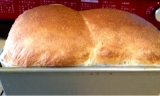 口コミ：アロエの花蜜でミルク食パン@イースト、HBの画像（11枚目）
