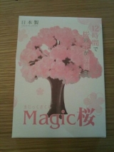 口コミ記事「【モニター】ふわふわもこもこの桜満開『Majic桜』|毎日がＨａｐｐｙ！-楽天ブログ」の画像