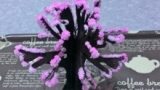口コミ：∮　12時間で育つ不思議な桜！マジック桜観察日記　∮の画像（7枚目）