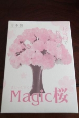 口コミ：株式会社OTOGINO「マジック桜」の画像（1枚目）