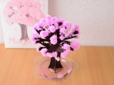 口コミ：桜が咲きました♡((* ´艸｀))♡ﾟ+'*+.ﾟの画像（9枚目）