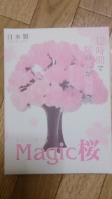 口コミ記事「桜」の画像