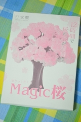 口コミ記事「プレゼントにピッタリ！マジック桜」の画像