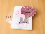 口コミ：桜が咲きました♡((* ´艸｀))♡ﾟ+'*+.ﾟの画像（18枚目）