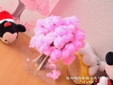 口コミ：桜が咲きました♡((* ´艸｀))♡ﾟ+'*+.ﾟの画像（4枚目）