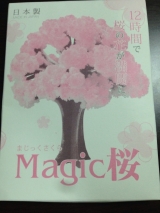 口コミ：マジック桜の画像（4枚目）