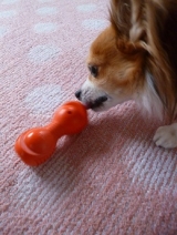 口コミ：遊びながら学べる犬専用"知遊玩具" 　　　　ビジーバディの画像（11枚目）