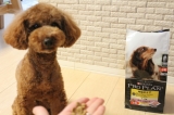 口コミ記事「体型のケア避妊・去勢した小型犬成犬用チキン900g」の画像
