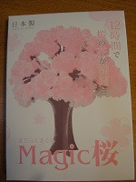 口コミ：サクラ咲く☆娘の合格祝い☆12時間で育つ不思議な桜！マジック桜の画像（4枚目）