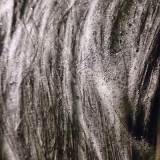 口コミ：ごまアロエ物語シャンプーで、ふんわり優しい美髪になろう！　#本物館　#ごまアロエの画像（3枚目）