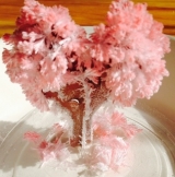口コミ：6時間で咲くハートの桜　マジックラブツリーの画像（3枚目）