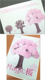 口コミ記事「12時間で育つ桜」の画像