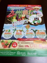 口コミ：九州野菜王国！野菜たくさんと唐揚げ定食の画像（3枚目）