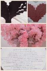 口コミ記事「6時間で満開！桜のプチギフト^^」の画像