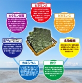 口コミ：＼焼きたて／熊本・有明海産一番摘み焼海苔の画像（3枚目）