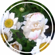 「お花とlaso.」面白いネイル大募集！！ラソプロネイルコンテスト★ジェルネイルキットが当たる！の投稿画像