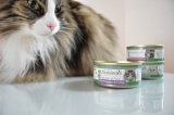 口コミ記事「猫の好みって？ニュージーランドの猫缶「ジーランディア」キャットフード」の画像