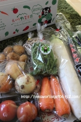 口コミ：普段買わない野菜と巡り合える『九州野菜王国元気野菜セット10品目』で料理♪。の画像（8枚目）