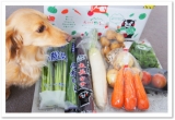 口コミ：収穫したての野菜を楽しむ☆九州・熊本産のお野菜セット10品目の画像（1枚目）